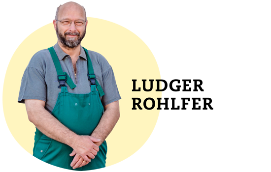 Ludger Rohlfer