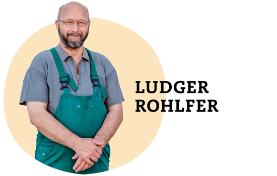 Ludger Rohlfer