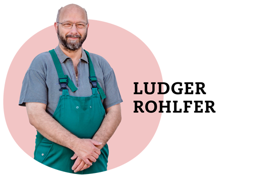 Ludger Rohlfer